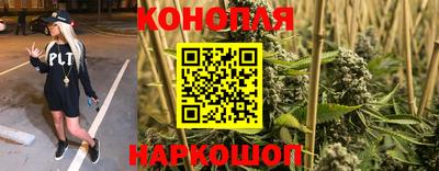 прущие грибы Апрелевка