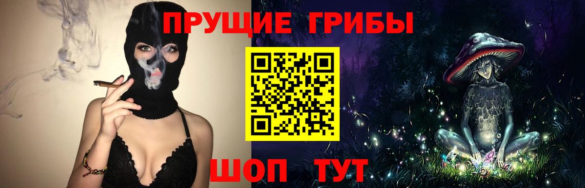 Волжский  Галлюциногенные грибы Cubensis  Вход с VPN  Галлюциногенные грибы ЛСД 